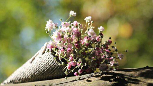 Muttertag | Technik Geschenke für verschiedene Anlässe