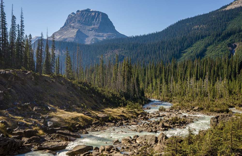 Die Wälder von British Colombia - Drehort für die TV Serie -The 100-