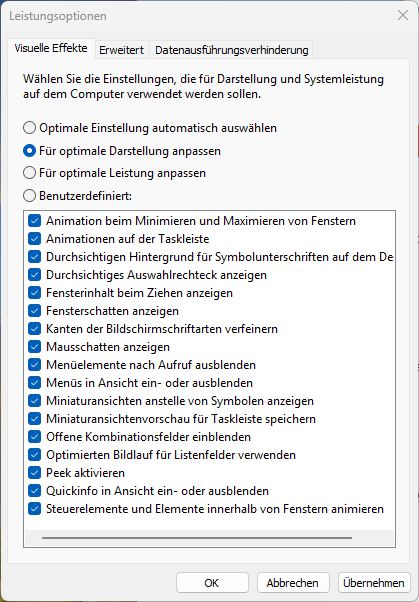 Darstellung und Leistung von Windows anpassen - die Einstellung in Windows 11