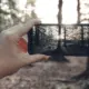 Hand hält ein Smartphone und fotografiert eine Waldszene im Morgenlicht