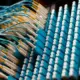 Ordentlich geführte Glasfaser-Patchkabel in einem Patchpanel
