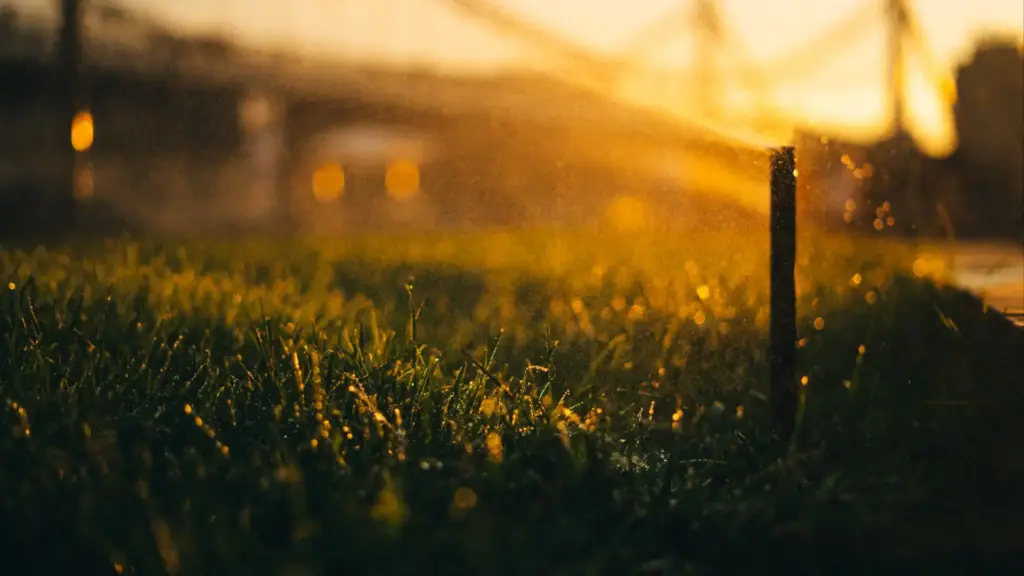 Rasensprinkler bewässert grünes Gras